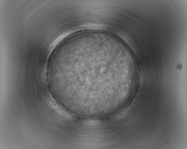 X0000113221074200909241443