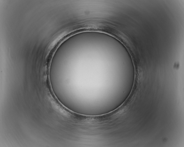 X0000113221075200909241443