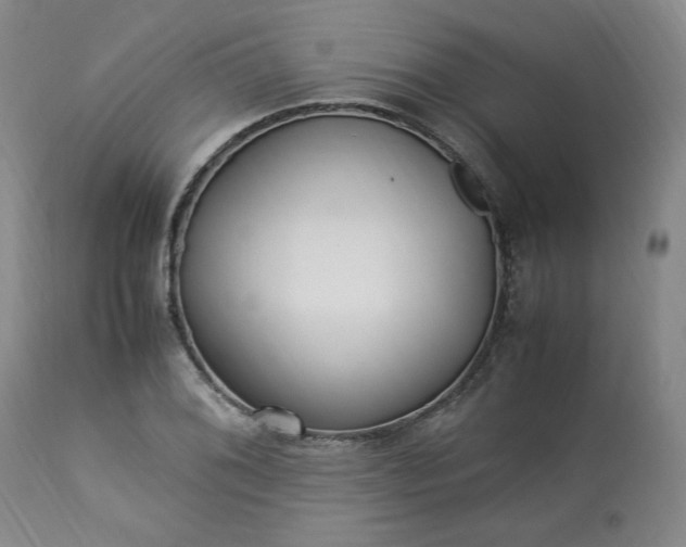 X0000113221076200909241443