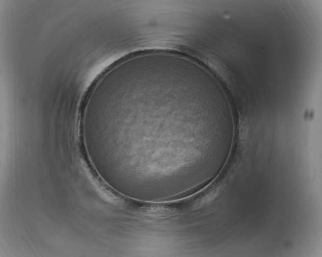 X0000113221077200909241443