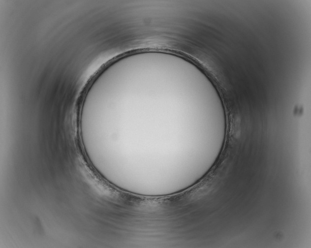 X0000113221078200909241443