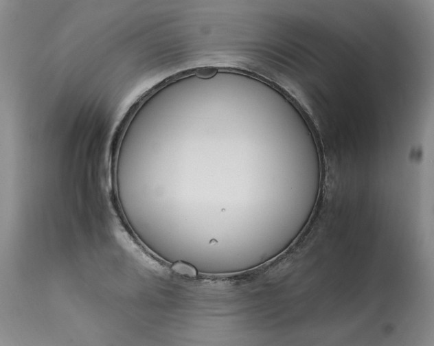 X0000113221080200909241442