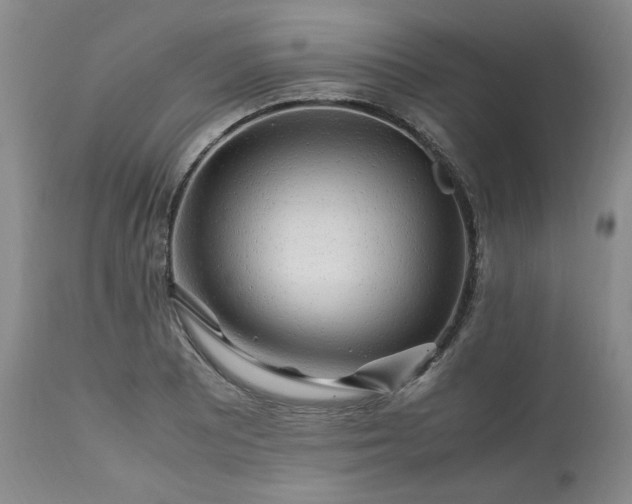 X0000113221081200909241442