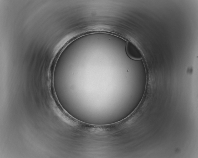 X0000113221082200909241442