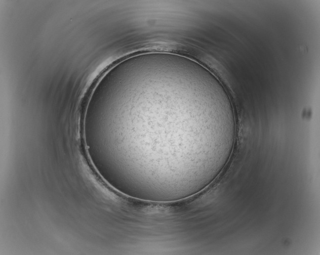 X0000113221083200909241442