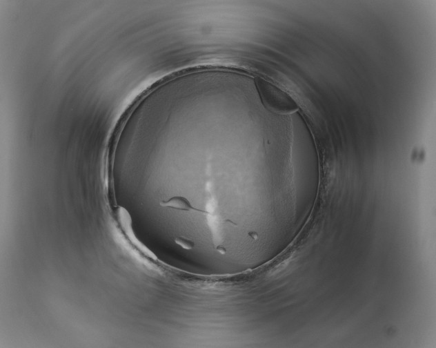 X0000113221084200909241442