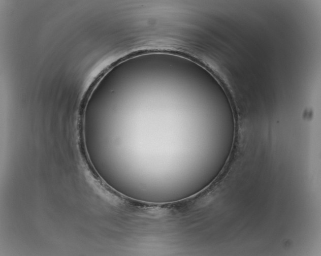 X0000113221085200909241442