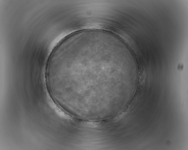 X0000113221086200909241442