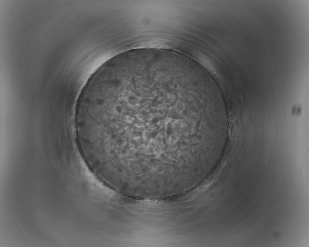 X0000113221087200909241442