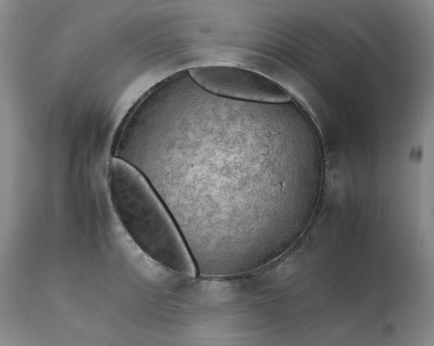 X0000113221088200909241442