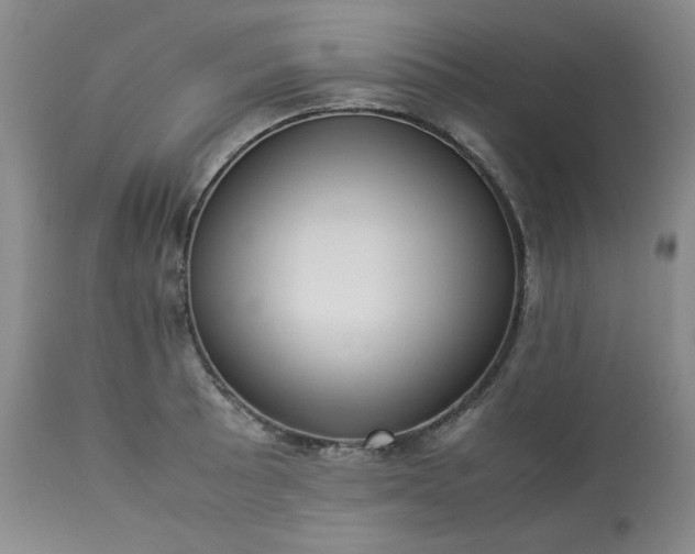 X0000113221089200909241442