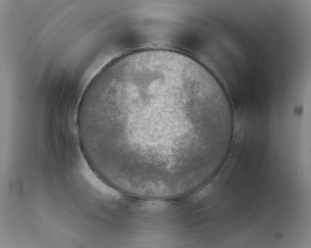 X0000113221090200909241442