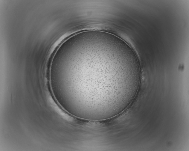 X0000113221091200909241442