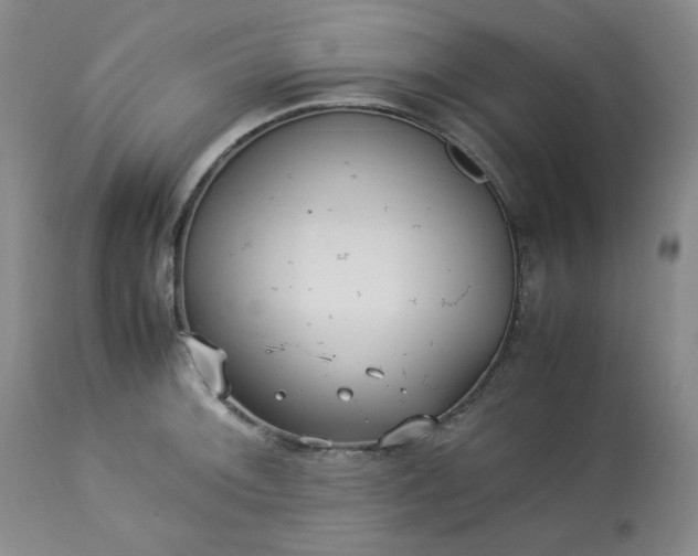 X0000113221092200909241442