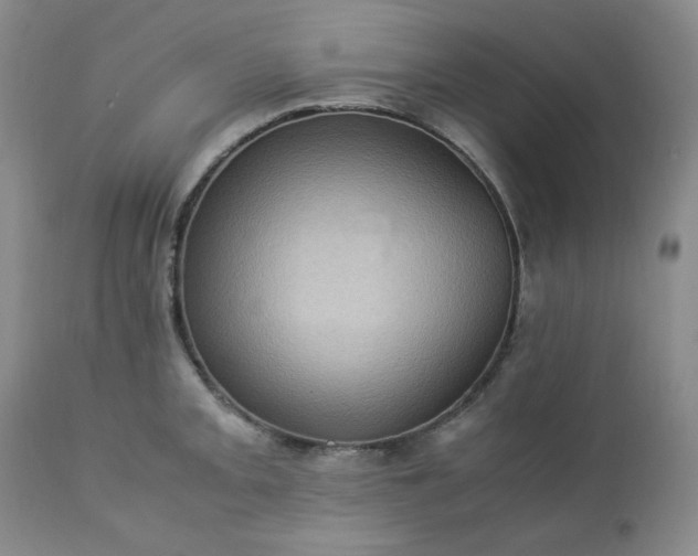 X0000113221093200909241442