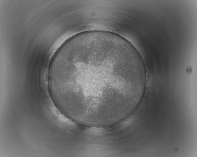 X0000113221094200909241442