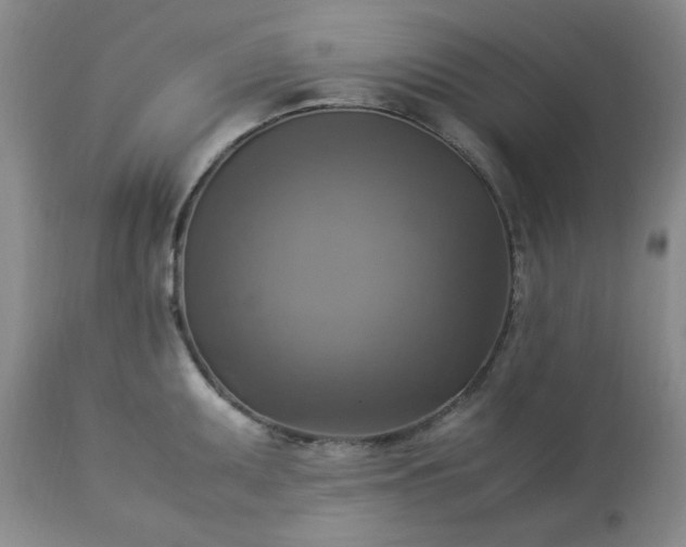 X0000113221095200909241442