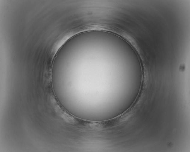 X0000113221097200909241442