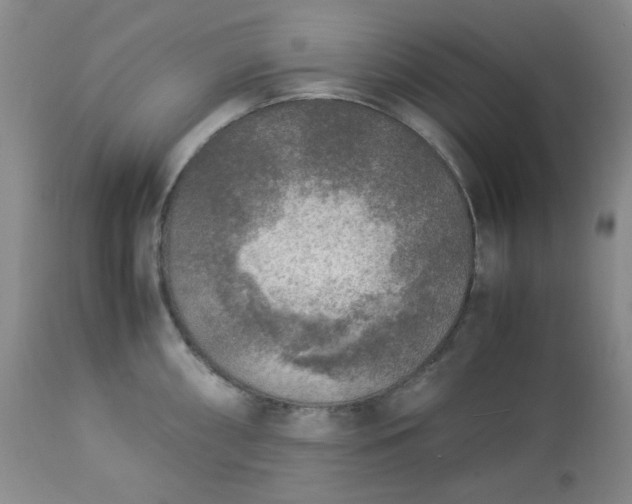 X0000113221098200909241442