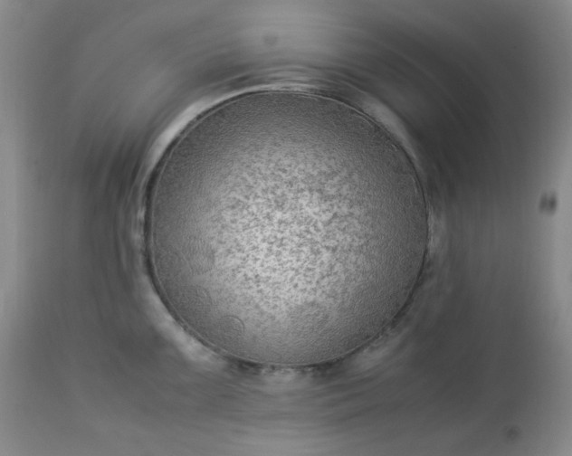 X0000113221099200909241442