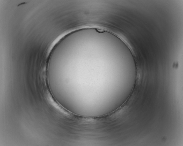 X0000113221100200909241442