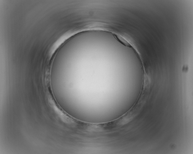 X0000113221101200909241442