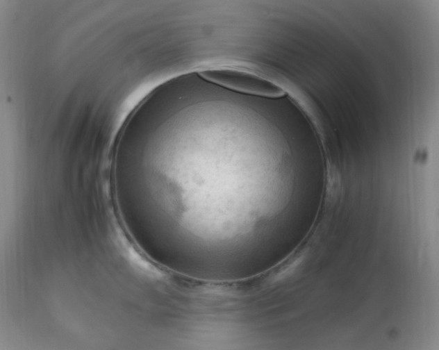 X0000113221102200909241442