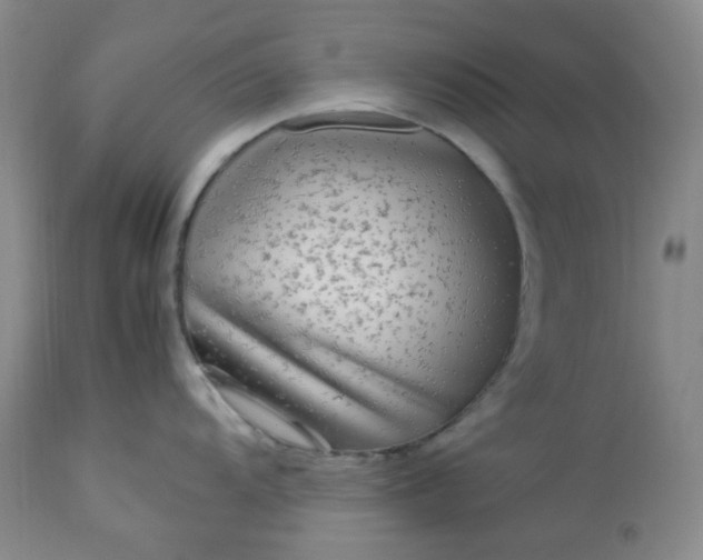 X0000113221104200909241442