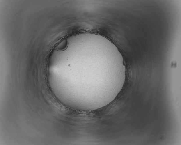 X0000113221105200909241441