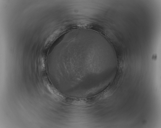 X0000113221106200909241441