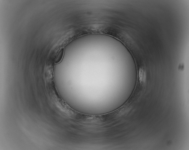 X0000113221107200909241441