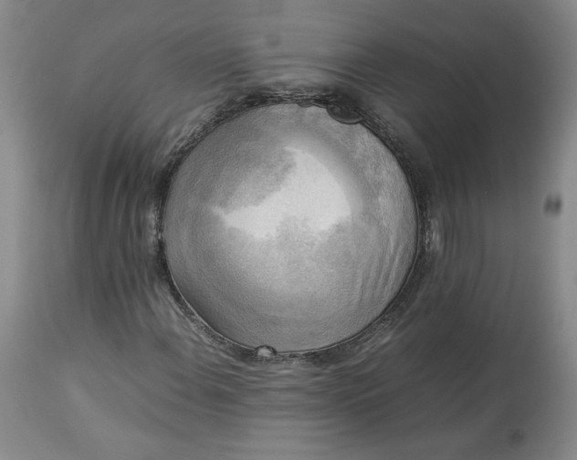 X0000113221108200909241441