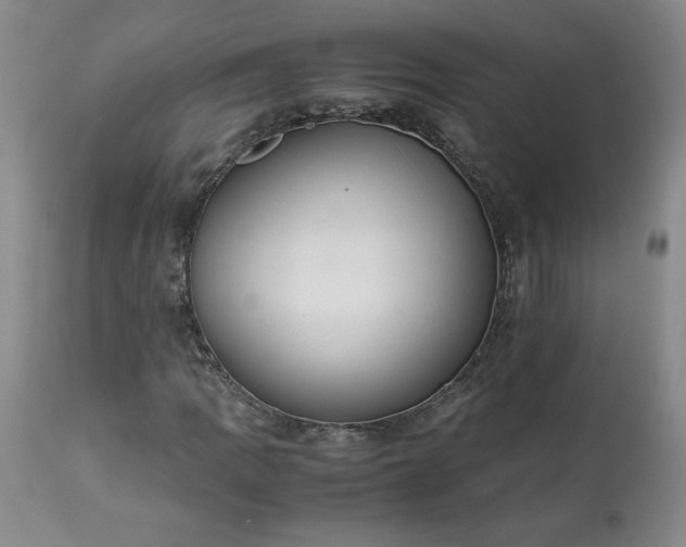 X0000113221109200909241441