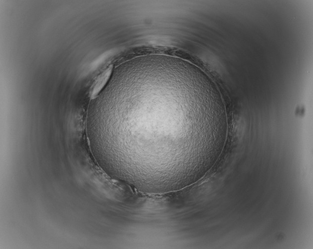 X0000113221110200909241441