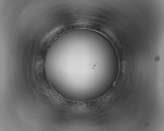 X0000113221111200909241441