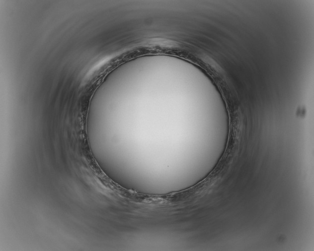 X0000113221112200909241441