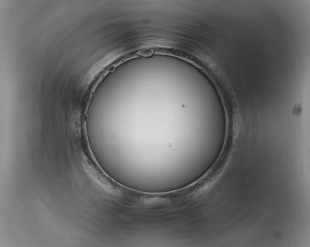 X0000113221113200909241441