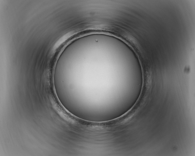 X0000113221114200909241441