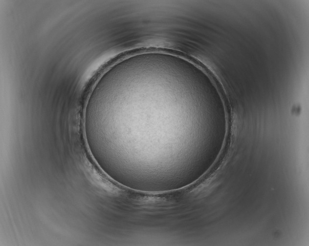 X0000113221115200909241441