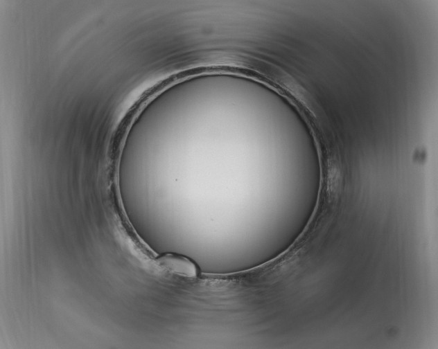 X0000113221116200909241441