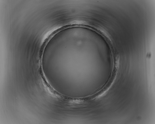 X0000113221117200909241441