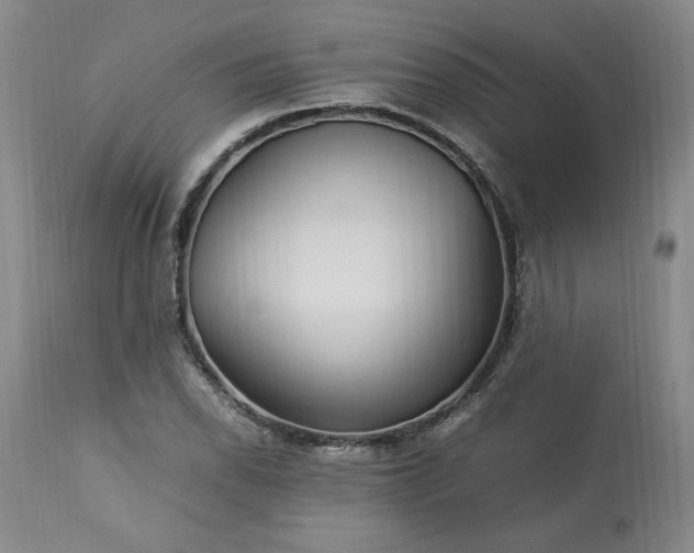 X0000113221118200909241441