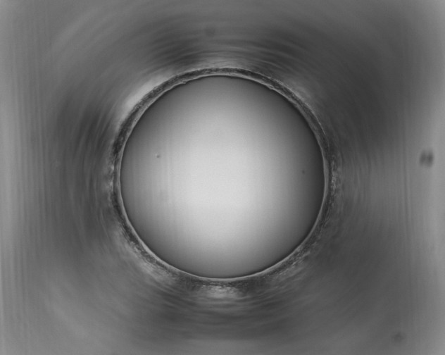 X0000113221119200909241441