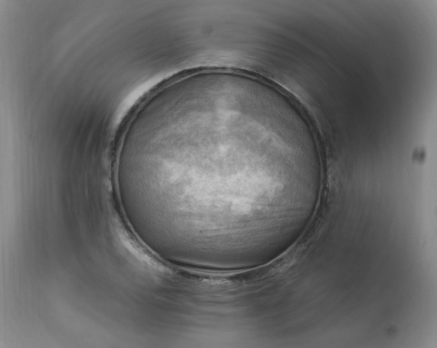 X0000113221120200909241441