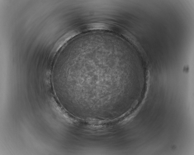 X0000113221121200909241441