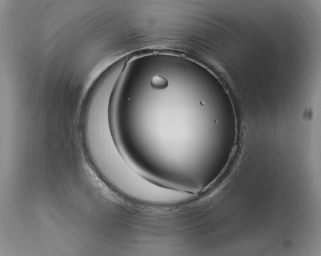 X0000113221122200909241441