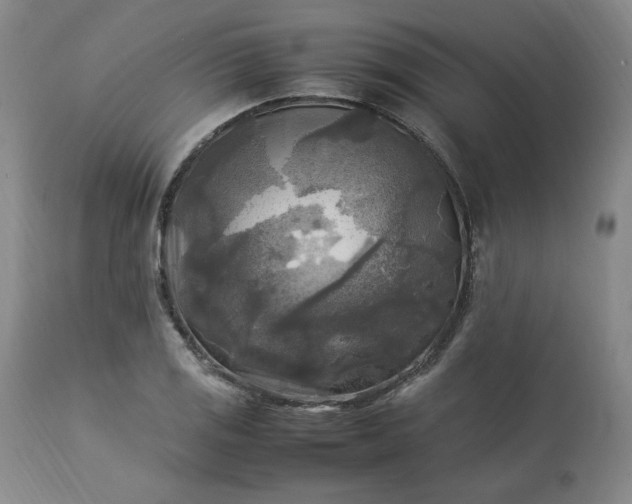 X0000113221125200909241442