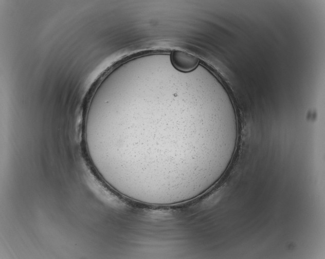 X0000113221126200909241442