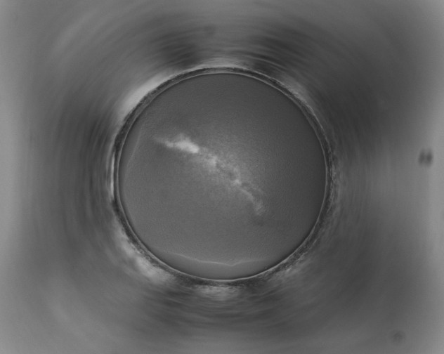 X0000113221127200909241442