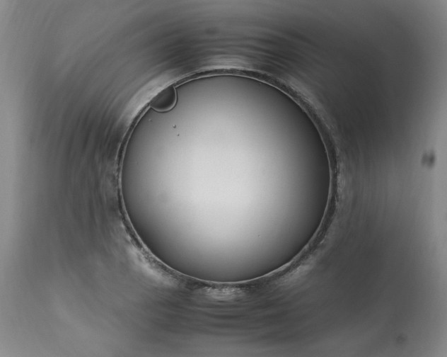 X0000113221129200909241442